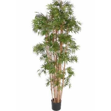 Pianta artificiale di bambù NARO, fusti veri, 150 cm Pianta artificiale di bambù NARO, fusti veri, 150 cm