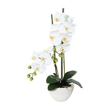 Orchidea Phalaenopsis artificiale DINKA in ciotola di ceramica, con radici, bianca, 50 cm Orchidea Phalaenopsis artificiale DINKA in ciotola di ceramica, con radici, bianca, 50 cm