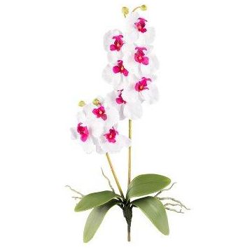 Orchidea Phalaenopsis artificiale MORLEK, su stelo, con radici, bianco-lilla, 60 cm Orchidea Phalaenopsis artificiale MORLEK, su stelo, con radici, bianco-lilla, 60 cm