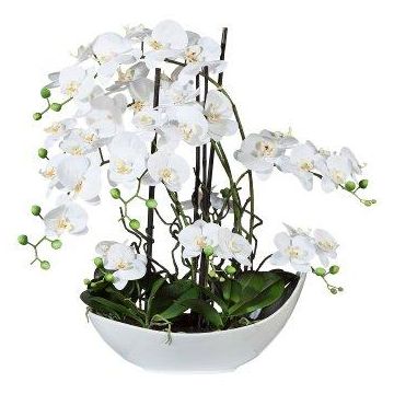 Composizione decorativa con orchidea e salice a spirale TANIN, ciotola in ceramica, radici, bianco, 70cm Composizione decorativa con orchidea e salice a spirale TANIN, ciotola in ceramica, radici, bianco, 70cm
