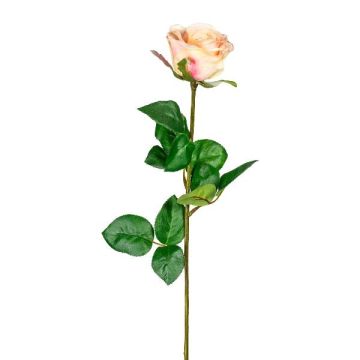 Fiore artificiale: rosa NORLAN, rosa-crema, 70 cm, Ø 8 cm