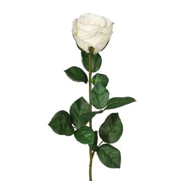 Fiore artificiale Rosa NORLAN, bianco, 70cm, Ø8cm Fiore artificiale Rosa NORLAN, bianco, 70cm, Ø8cm
