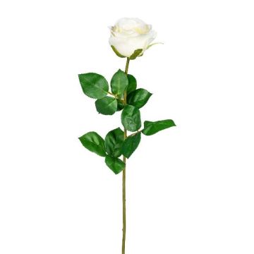 Fiore artificiale Rosa NORLAN, color crema, 70 cm, Ø 8 cm Fiore artificiale Rosa NORLAN, color crema, 70 cm, Ø 8 cm