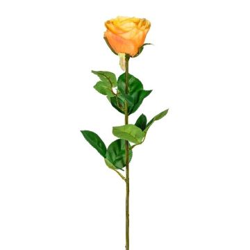 Fiore artificiale Rosa NORLAN, albicocca, 70cm, Ø8cm Fiore artificiale Rosa NORLAN, albicocca, 70cm, Ø8cm