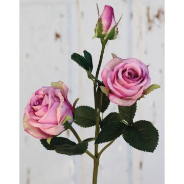 Rosa in velluto DELILAH, rosa, 55 cm, Ø 6 cm Rosa in velluto DELILAH, rosa, 55 cm, Ø 6 cm
