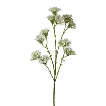 Ramo artificiale di achillea GRUNTO, bianco, 65 cm Ramo artificiale di achillea GRUNTO, bianco, 65 cm