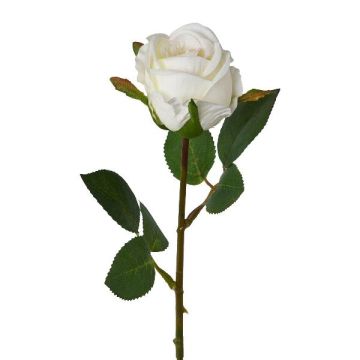 Fiore di plastica rosa EMBERY, bianco, 45 cm, Ø 6 cm Fiore di plastica rosa EMBERY, bianco, 45 cm, Ø 6 cm