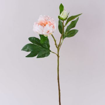 Peonia artificiale FYRFAR, aperta, rosa chiaro, 60 cm Peonia artificiale FYRFAR, aperta, rosa chiaro, 60 cm