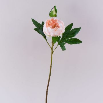 Peonia artificiale FYRFAR, semiaperta, rosa chiaro, 60 cm Peonia artificiale FYRFAR, semiaperta, rosa chiaro, 60 cm