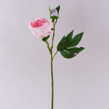 Peonia artificiale FYRFAR, semi-aperta, rosa, 60 cm Peonia artificiale FYRFAR, semi-aperta, rosa, 60 cm