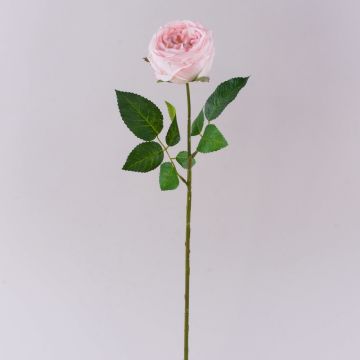 Rosa artificiale MARNUK, rosa chiaro, 60 cm, Ø 9 cm Rosa artificiale MARNUK, rosa chiaro, 60 cm, Ø 9 cm
