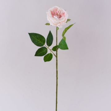 Rosa artificiale MARNUK, color crema-rosa, 60 cm, Ø 9 cm Rosa artificiale MARNUK, color crema-rosa, 60 cm, Ø 9 cm