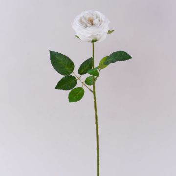 Rosa artificiale MARNUK, color crema-bianco, 60 cm, Ø 9 cm Rosa artificiale MARNUK, color crema-bianco, 60 cm, Ø 9 cm