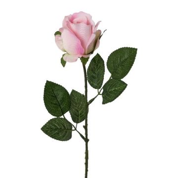 Fiore decorativo: rosa KRALVE, rosa-crema, 65 cm, Ø 5 cm