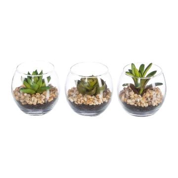 Composizione decorativa di piante grasse WINKS in vetro, 3 pezzi, verde, 7 cm, Ø 7,5 cm Composizione decorativa di piante grasse WINKS in vetro, 3 pezzi, verde, 7 cm, Ø 7,5 cm