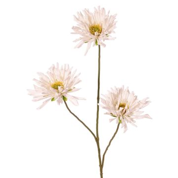 Ramo decorativo di crisantemo LASDIM, bianco, 75 cm, Ø 11 cm Ramo decorativo di crisantemo LASDIM, bianco, 75 cm, Ø 11 cm
