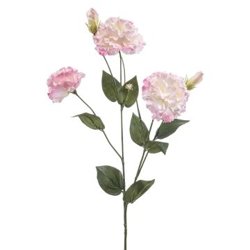Lisianthus artificiale RENARA, rosa-crema, 75 cm Lisianthus artificiale RENARA, rosa-crema, 75 cm