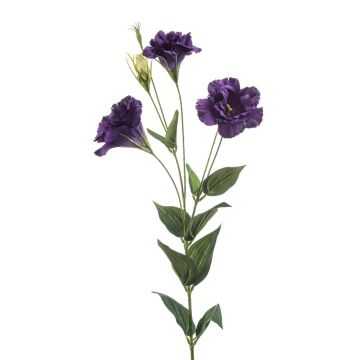 Lisianthus artificiale IRONA, viola scuro, 80 cm Lisianthus artificiale IRONA, viola scuro, 80 cm