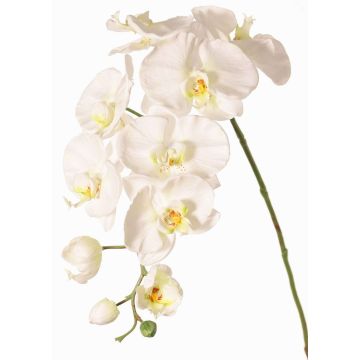 Ramo fiorito artificiale di orchidea Phalaenopsis WESA, bianco, 90 cm, Ø 11-12,5 cm Ramo fiorito artificiale di orchidea Phalaenopsis WESA, bianco, 90 cm, Ø 11-12,5 cm