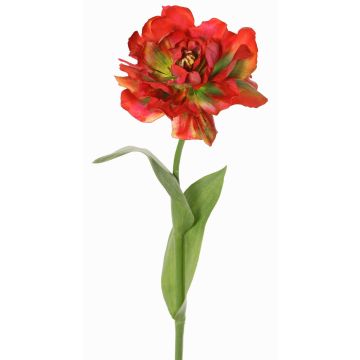 Tulipano artificiale a forma di pappagallo STEFANIE, rosso-verde, 65 cm, Ø 14 cm Tulipano artificiale a forma di pappagallo STEFANIE, rosso-verde, 65 cm, Ø 14 cm