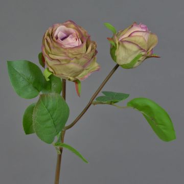 Fiore sintetico rosa RENATUS, viola-rosa-verde, 45cm, Ø6-8cm Fiore sintetico rosa RENATUS, viola-rosa-verde, 45cm, Ø6-8cm
