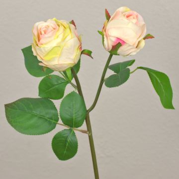 Fiore sintetico rosa RENATUS, crema-rosa, 45cm, Ø6-8cm Fiore sintetico rosa RENATUS, crema-rosa, 45cm, Ø6-8cm