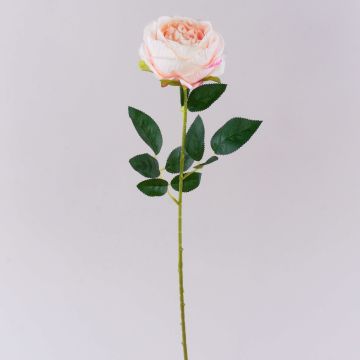 Fiore di plastica rosa CHERLEN, rosa tenue, 65 cm, Ø 10 cm Fiore di plastica rosa CHERLEN, rosa tenue, 65 cm, Ø 10 cm
