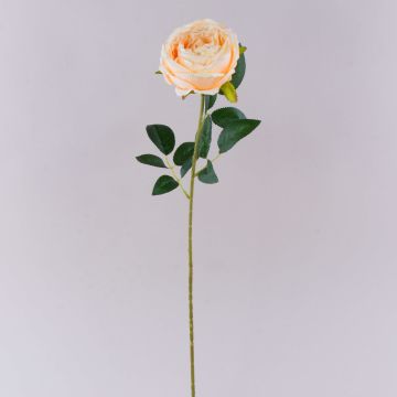 Fiore di plastica rosa CHERLEN, albicocca, 65 cm, Ø 10 cm Fiore di plastica rosa CHERLEN, albicocca, 65 cm, Ø 10 cm