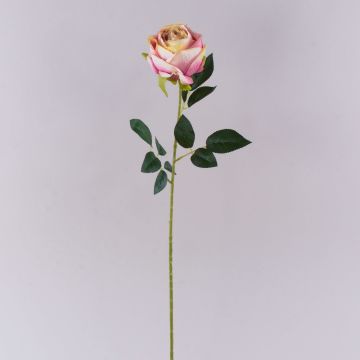 Fiore di plastica rosa CHERLEN, rosa-crema, 65 cm, Ø 10 cm Fiore di plastica rosa CHERLEN, rosa-crema, 65 cm, Ø 10 cm