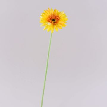 Fiore artificiale Gerbera TEUDELINDE, arancione, 55 cm, Ø 8 cm Fiore artificiale Gerbera TEUDELINDE, arancione, 55 cm, Ø 8 cm