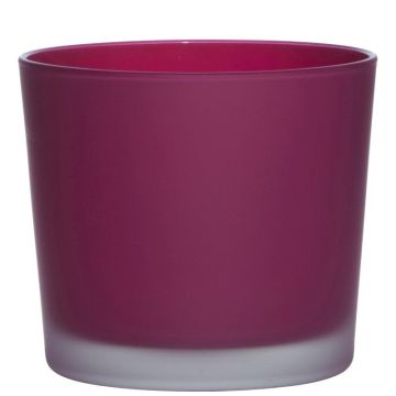 Fioriera in vetro ALENA FROST, magenta opaco, 12,5cm, Ø14,5cm Fioriera in vetro ALENA FROST, magenta opaco, 12,5cm, Ø14,5cm
