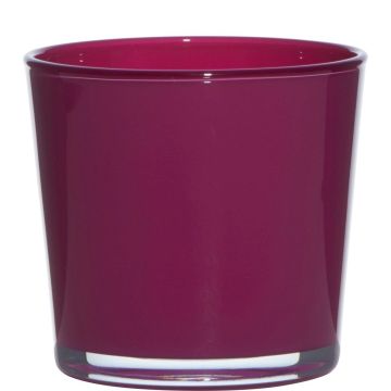 Fioriera in vetro ALENA, magenta, 11cm, Ø11,5cm Fioriera in vetro ALENA, magenta, 11cm, Ø11,5cm