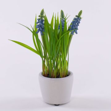 Fiore artificiale: muscari NARMADA in vaso di cemento, blu, 20cm Fiore artificiale: muscari NARMADA in vaso di cemento, blu, 20cm