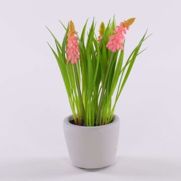 Fiore artificiale, giacinto a grappolo NARMADA in vaso di cemento, rosa, 20cm Fiore artificiale, giacinto a grappolo NARMADA in vaso di cemento, rosa, 20cm