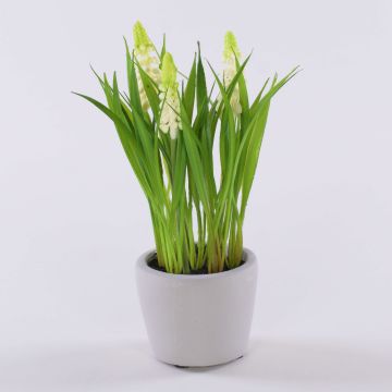 Fiore artificiale, giacinto a grappolo NARMADA in vaso di cemento, bianco, 20cm Fiore artificiale, giacinto a grappolo NARMADA in vaso di cemento, bianco, 20cm