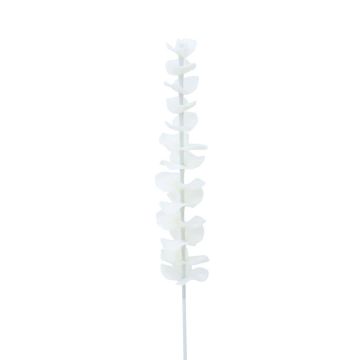 Ramo di eucalipto in plastica GLAUCO effetto vetro, 12 pezzi, bianco, 80 cm Ramo di eucalipto in plastica GLAUCO effetto vetro, 12 pezzi, bianco, 80 cm