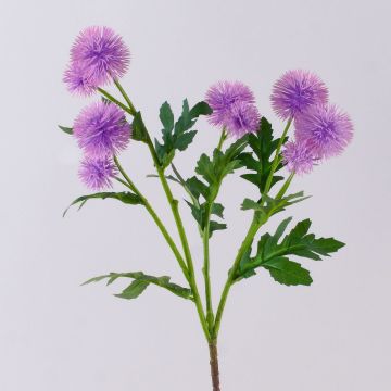 Ramo di fiori artificiali Cardo sferico TRAUDLINDE, lilla, 55 cm, Ø 3-4 cm Ramo di fiori artificiali Cardo sferico TRAUDLINDE, lilla, 55 cm, Ø 3-4 cm
