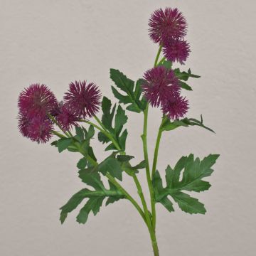 Ramo di fiori artificiali di cardo sferico TRAUDLINDE, viola, 55 cm, Ø 3-4 cm Ramo di fiori artificiali di cardo sferico TRAUDLINDE, viola, 55 cm, Ø 3-4 cm