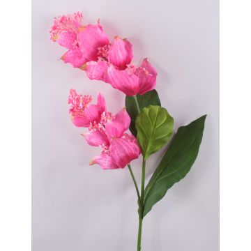 Ramo di fiori artificiale Medinilla LASENTER, rosa, 110 cm Ramo di fiori artificiale Medinilla LASENTER, rosa, 110 cm