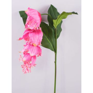 Ramo di medinilla artificiale LASENTER, rosa, 140 cm Ramo di medinilla artificiale LASENTER, rosa, 140 cm