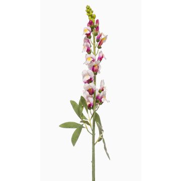 Fiore sintetico bocca di leone LIMORG, crema-fucsia, 80cm