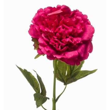 Fiore artificiale peonia GAVRON, rosa shocking, 55 cm Fiore artificiale peonia GAVRON, rosa shocking, 55 cm
