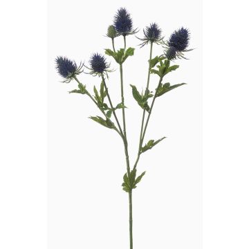 Ramo decorativo di cardo nobile JESSAMINE, blu, 70 cm, Ø 2-4 cm Ramo decorativo di cardo nobile JESSAMINE, blu, 70 cm, Ø 2-4 cm