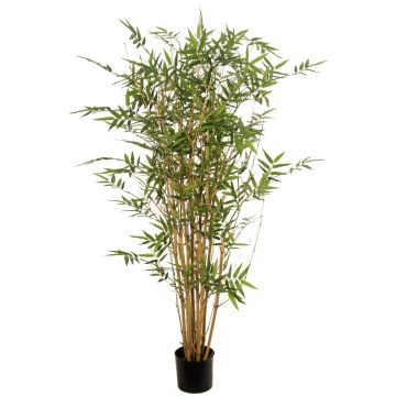 Bambù artificiale KEAO, canne di bambù vero, 120 cm Bambù artificiale KEAO, canne di bambù vero, 120 cm