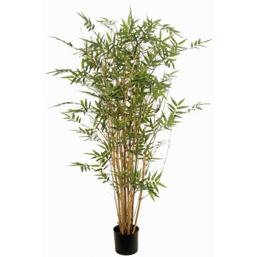 Bambù artificiale KEAO, canne di bambù vero, 120cm