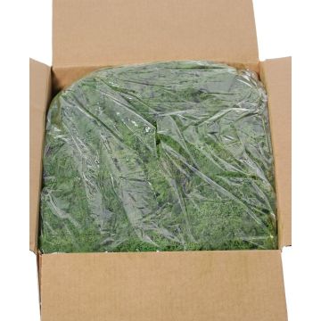 Muschio naturale islandese SVEINBJÖRN, verde scuro, 5 kg Muschio naturale islandese SVEINBJÖRN, verde scuro, 5 kg