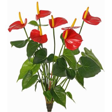 Anthurium artificiale NAKITA su stelo, rosso, 50cm Anthurium artificiale NAKITA su stelo, rosso, 50cm