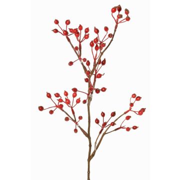 Ramo artificiale di rosa selvatica HIKERNO con cinorrodi, rosso, 60cm