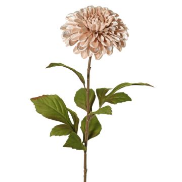 Dalia satinata TINFAS, rosa tenue, 60 cm, Ø 13 cm Dalia satinata TINFAS, rosa tenue, 60 cm, Ø 13 cm