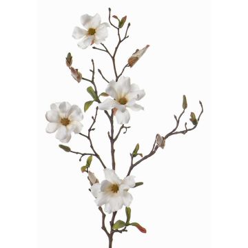 Ramo di magnolia finta MARGA, bianco, 80cm, Ø6-8cm Ramo di magnolia finta MARGA, bianco, 80cm, Ø6-8cm